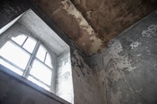 ARTUS_FOTOSHOOTING_SCHIMMEL-VILLA_121