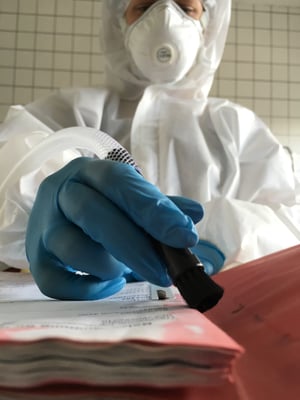 Schimmelpilzbeseitung Feinreinigung