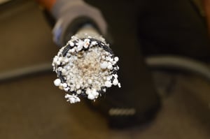 Schimmelpilzsanierung Sofortmaßnahme